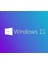 Ms Wındows 11 Pro 64 Bıt Turkce Oem FQC-10556 1