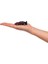 Premium Arabalar 237H-2 S5 2