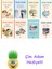 Sevinç Çokum 8 Kitap Seti + Çim Adam Hediye 1