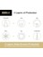 Screws, Self-Drilling, Tan Ceramic, 3.5-In. x #10, 5-Lbs. -48422 2