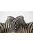 Siyah Beyaz 2 Zebralar Ahsap (Mdf) Puzzle Yapboz 1