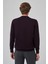 Erkek Mor Basic Bisiklet Yaka Dynamic Fit Rahat Kesim Triko 5