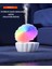 Istiridye Hava Nemlendirici 550ML Rgb Ledli Bluetooth Hoparlör Buhar Makinesi Gece Lambası Istiridye 8