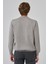 Erkek Gri Basic Bisiklet Yaka Dynamic Fit Rahat Kesim Triko 5