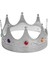 Gümüş Kral Tacı Yetişkin-Çocuk Uyumlu 2