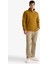 Regular Fit Yarım Balıkçı Yaka Fermuarlı Kalın Sweatshirt F4136AX25AU 2