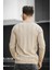 Vilnius Slim Fit Çizgili Gömlek Yaka Yarım Fermuarlı Erkek Triko 3