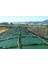 Silage Örtüsü Çiftrenk(Siyah-Yeşil) Uv'li 1