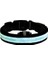 Petzz Işıklı Ayarlanabilir Flaşörlü Kedi ve Köpek Boyun Tasması Mavi 45-52 cm / 2.5 cm 1
