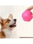 Pati Desenli Köpek Isırma Topu 3