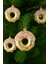 3'lü Donut Yılbaşı Ağaç Süsü | Renkli Tatlı Tasarım | 8 cm | Dekoratif Yılbaşı Ağacı Süsü 4
