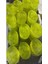 Şeffaf Sabun Bazı 2 Kg- Yüksek Miktarda Gliserin Içerir 4