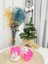 Cerry Blossom Mum 1