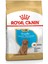 Poodle Puppy Yavru Köpek Maması 3 Kg 12