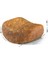 British Shorthair Yetişkin Kedi Maması 4 Kg 12