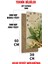 Uv Baskı Mdf Tablo Saat – 30X60 cm / Zarif Çiçek Tasarımı– USD226 2