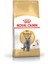 British Shorthair Adult Yetişkin Kedi Maması 400 Gr 8