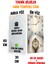 Doğa ve Sakinlik Temalı Kano Manzaralı Temperli Cam Duvar Saati – 33X33 cm – Hd Uv Baskı– CUSD072 7