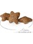 Mini Adult Köpek Maması 8 Kg 15