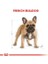 French Bulldog Adult Yetişkin Köpek Maması 3 Kg 13