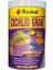 Tropical Cichlid Gran Cichlid Balıkları Için Renklendirici Granül Balık Yemi 250 ml 138 gr 1
