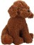 4805 Poddle Köpek Peluş 33 cm -Fabbatoys 4