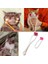 Kedi Fırça Kedi Masaj Aleti Plastik Kumu 3