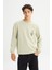 Regular Fit Normal Kesim Bisiklet Yaka Baskılı Mint Yeşili Sweatshirt 1