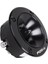 TX-78N Dom Tweeter 2