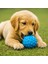 Petzoom Mavi Dikenli Köpek Oyun Topu 3