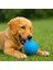 Petzoom Mavi Dikenli Köpek Oyun Topu 4