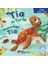 Tia The Turtle / Kaplumbağa Tia 1