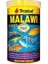 Tropical Malawı Flakes Malawı Cichlid Balıkları Için Pul Balık Yemi 250 ml 50 gr 1