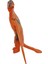 Dinazor Figürler Serisi - KL1689 - Pterodactyl (Lisinya) 3
