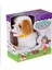 PFT-B019 Yürüyen Tasmalı Peluş Köpek 1