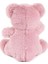 4233 Oturan Ayı Pembe 4