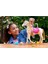 HXJ42 Barbie ve Dansçı Atı - Barbie Mysteries: The Great Horse Chase 6