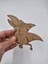 20 Adet Sevimli Dinozor Model 5 Ahşap Boyama Okul Diy Etkinlik Aktivite Sanat 15 cm x 10 cm 2