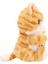 BAW05000 Baby Paws Sesli Kedi 20 cm Peluş 5