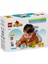 10442 LEGO Duplo Penguen ve Aslanlar 10 Parça +2AŞ 5