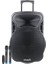 Osawa OSW-9135 38 cm Uhf 2 El Mikrofonlu Portatif Ses Sistemi 1