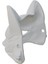 3D Baskı Tilki Yarım Yüz Maske (Boyanabilir - Hobi ve Dekor Için) 3