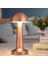 Mantar Model Bronz Renk Şarjlı Dokunmatik 3 Renkli LED Masa Lambası (4887) 4