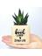 Kişiye Özel Kitapsever Temalı Küp Saksı ve Haworthia Sukulent - MK07 1