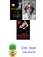 Gillian Flynn 3 Kitap Seti + Çim Adam Hediye 1