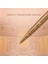 Jotter Se Roma Bronz Ct Tükenmez Kalem 4