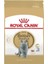 British Shorthair Adult Kedi Maması, 4 kg 1