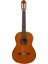 C40 Klasik Gitar 1