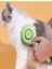 Basmalı Telli Su Sprey Hazneli Hayvan Kedi Köpek Fırçası Çift 2in 1 2