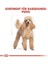 Poodle Yetişkin Köpek Maması, 3 kg 3